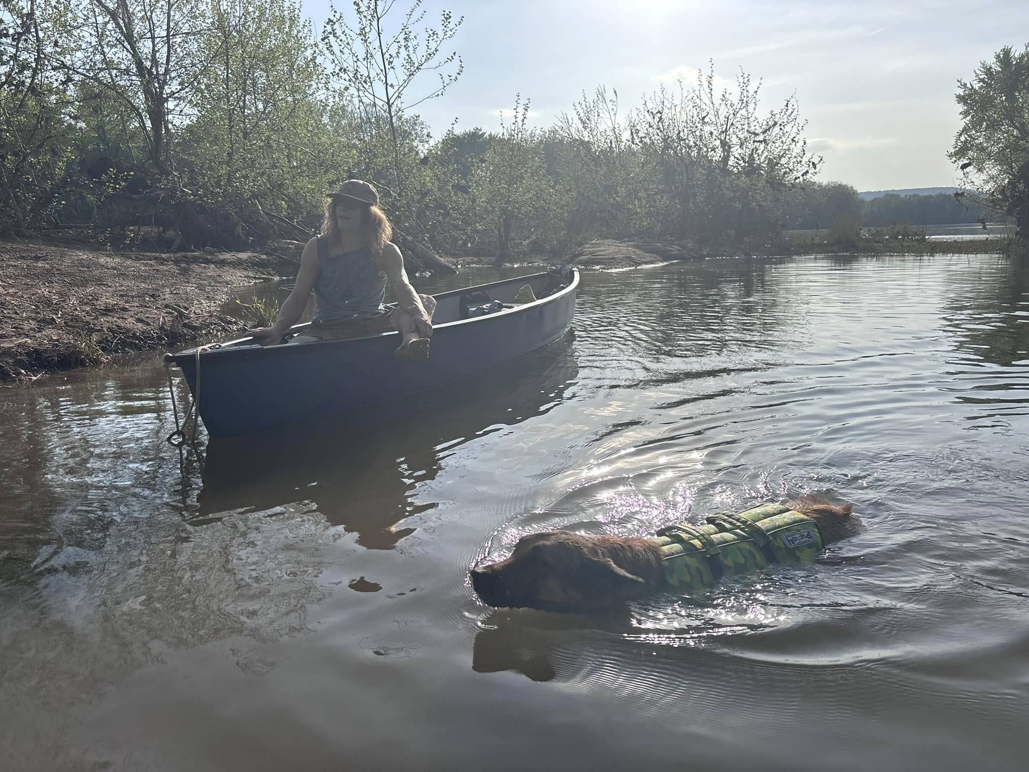 Service Dog Task Training: From Concept to Performance