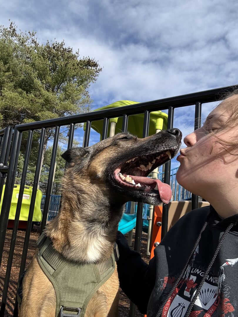 Owner-Trained Service Dogs: Your Complete Guide to Getting Started