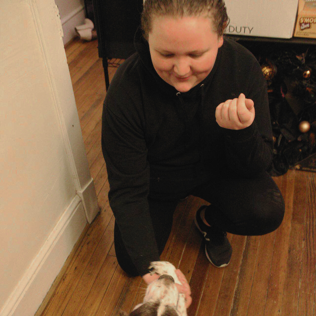 Taylor A photo of Taylor Hendershot offering her hand to an Australian Shepherd. She is a Caretaker.