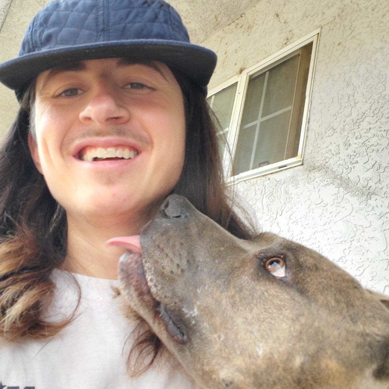 Taylor A photo of Taylor Hendershot offering her hand to an Australian Shepherd. She is a Caretaker.